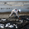 Environmental Issues in Southern Mississippi: A Comprehensive Overview