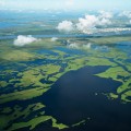 Political Issues in Southern Mississippi: Examining Food Power and Inequality