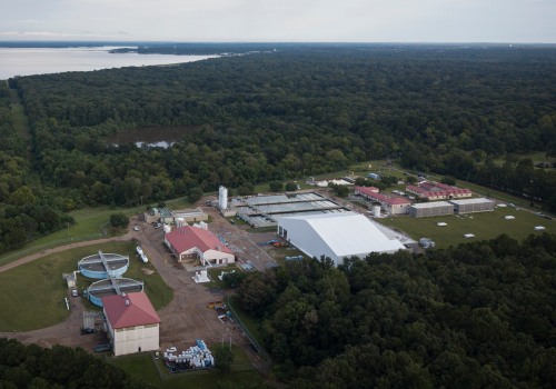 Access to Public Services in Southern Mississippi: How USM is Transforming Lives
