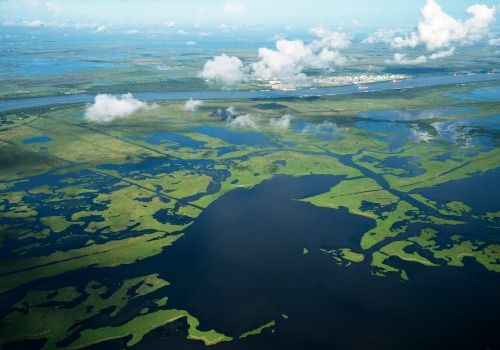 Unique Environmental Issues in Southern Mississippi: A Comprehensive Guide